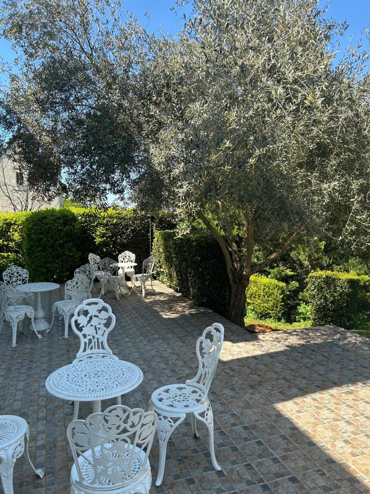 Logis Demeure De La Vignole Otel Turquant Dış mekan fotoğraf